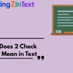What Does 2 Check Marks Mean in Text