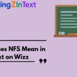 What Does NFS Mean in Text on Wizz