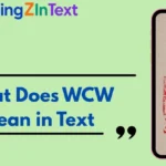 What Does WCW Mean in Text